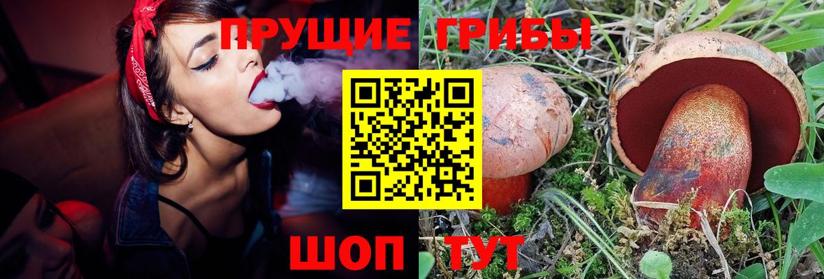 что такое   Вход с VPN  Сосновоборск  Псилоцибиновые грибы GOLDEN TEACHER 